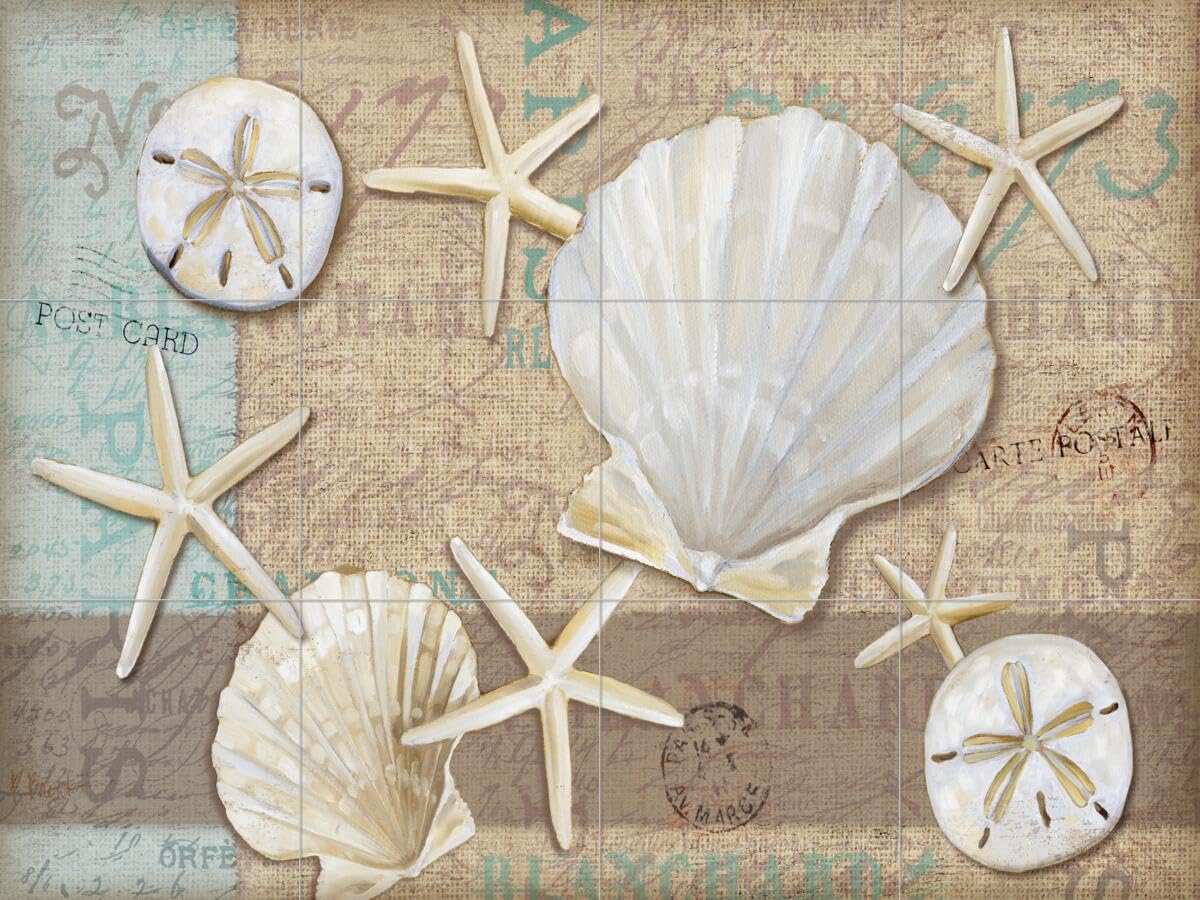 Ceramic Backsplash Tile Mural - Sea Shell Themed Kitchen Bathroom Shower Wall Decor - Linen Shells Collage by Paul Brent - Perfect for Coastal, Beach House, or Nautical Style Interiors