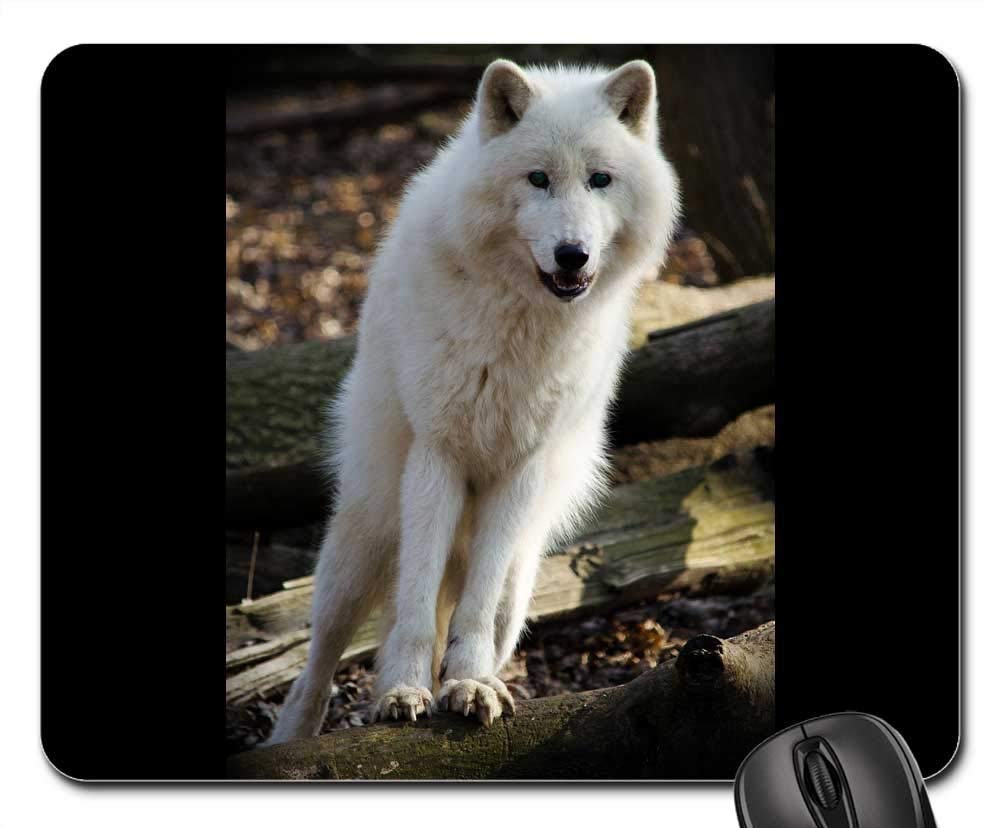 Premium Gaming Mouse Pad - Large Non-Slip Mouse Mat with Wolf Design - Perfect for PC, Laptop, Office & Esports Gaming - Arctic Wolf Animal World Theme for Gamers & Nature Lovers