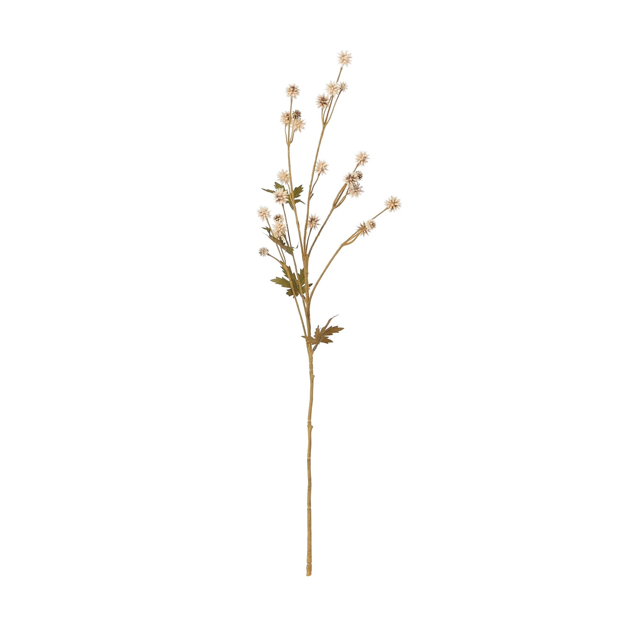 Vintage Art Flower Sanicula Beige - Antique Home Decor for Living Room, Bedroom & Wedding Centerpieces