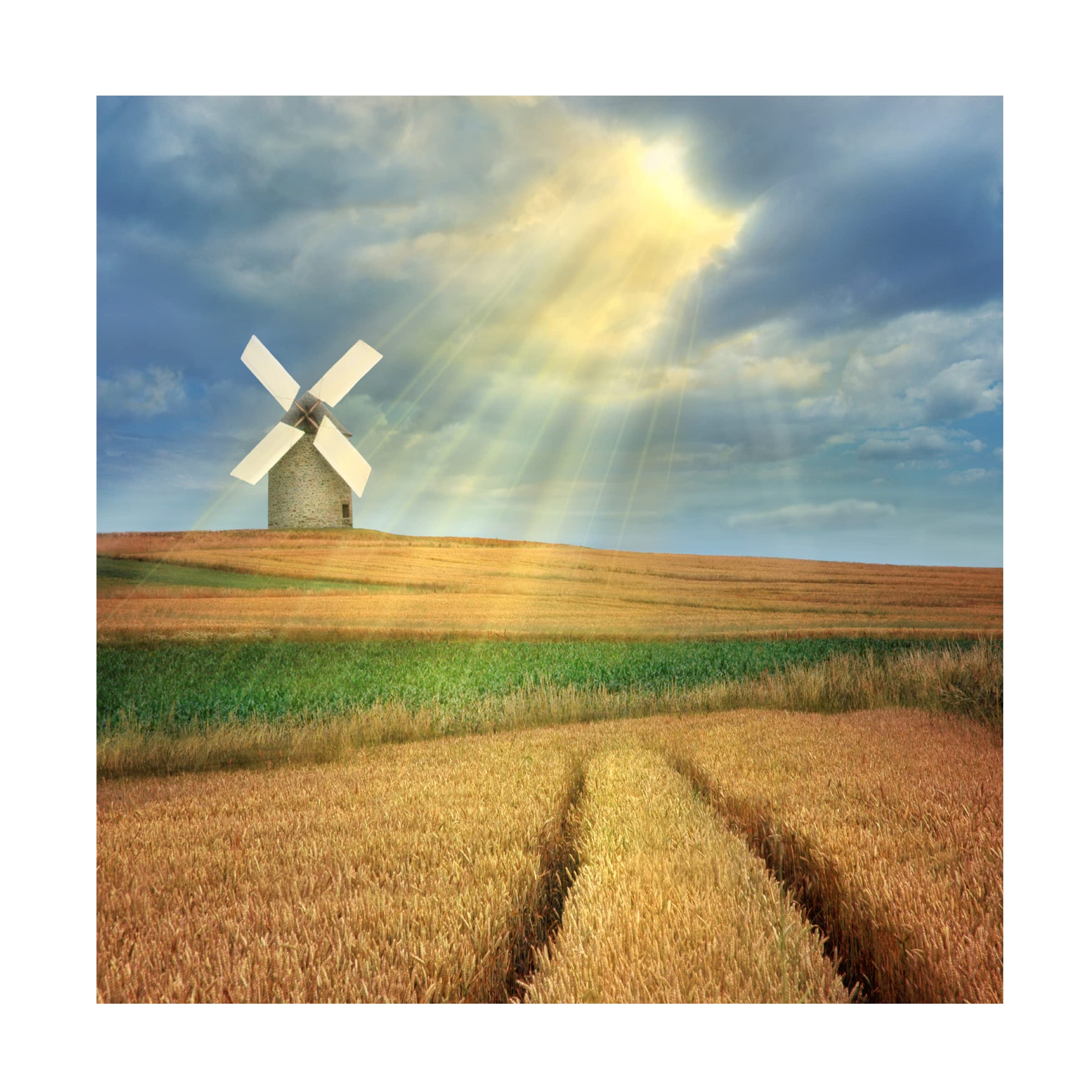 Ben Heine 'Countryside' Canvas Wall Art - Handmade Landscape Painting for Living Room, Bedroom & Office Decor | Trademark Fine Art