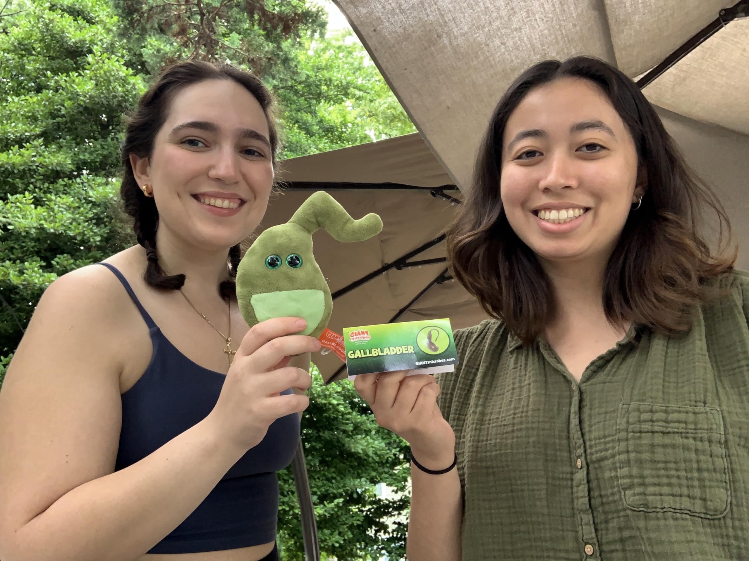 GIANTmicrobes Gallbladder Plush - Cute Biology Stuffed Animal Organ Toy, Perfect Get Well Gift for Gallbladder Surgery Recovery & Gastroenterology Enthusiasts | Great Hospital Gift & Science Education Tool for Kids & Adults