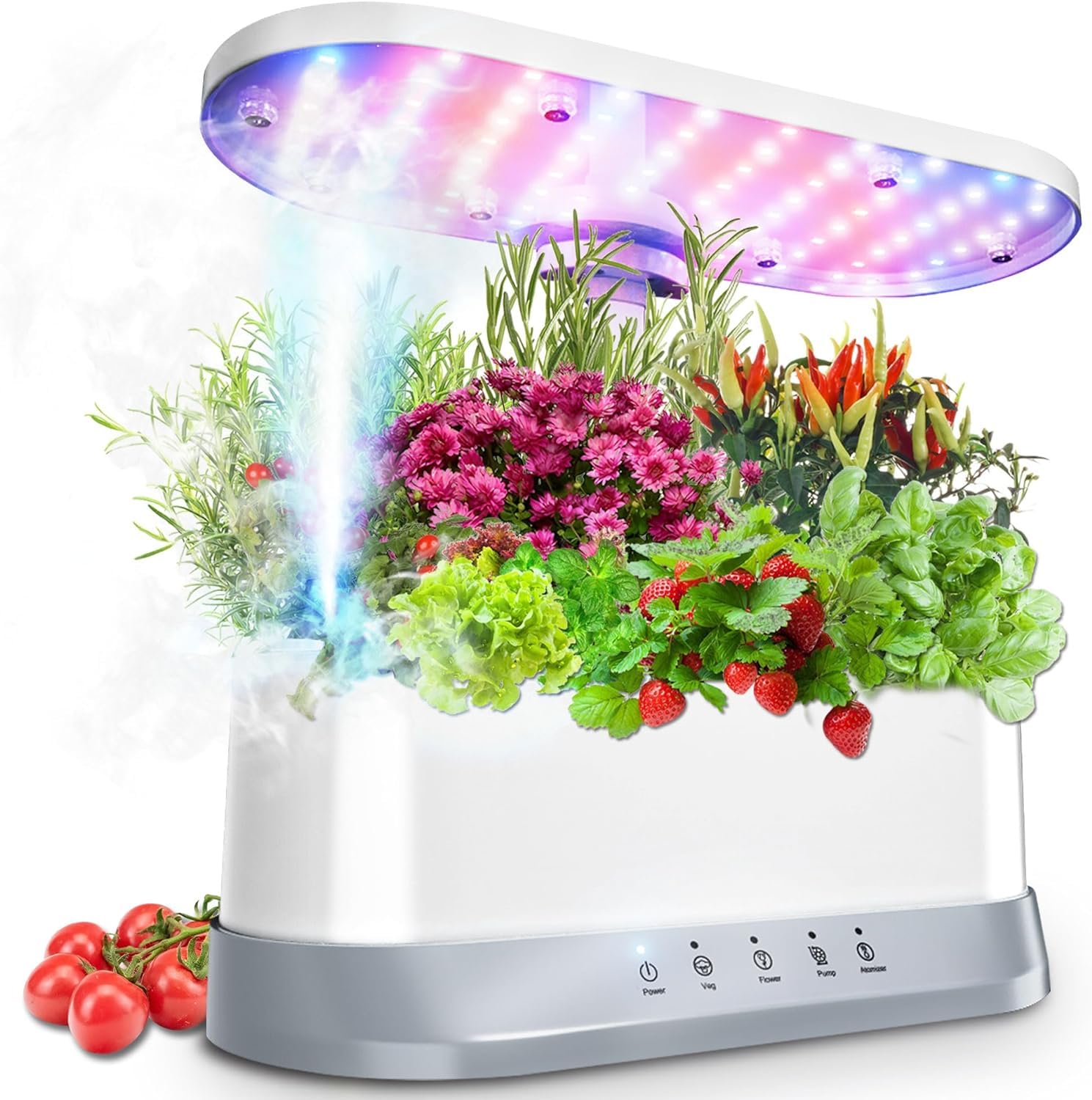 11-Pod Hydroponic Growing System with LED Grow Light & Auto Timer - Indoor Smart Garden Kit for Herbs, Vegetables, and Plant Germination - Perfect for Home, Office, and Small Space Gardening