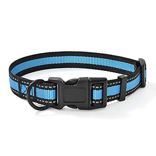 2 Reflective Line-Blue