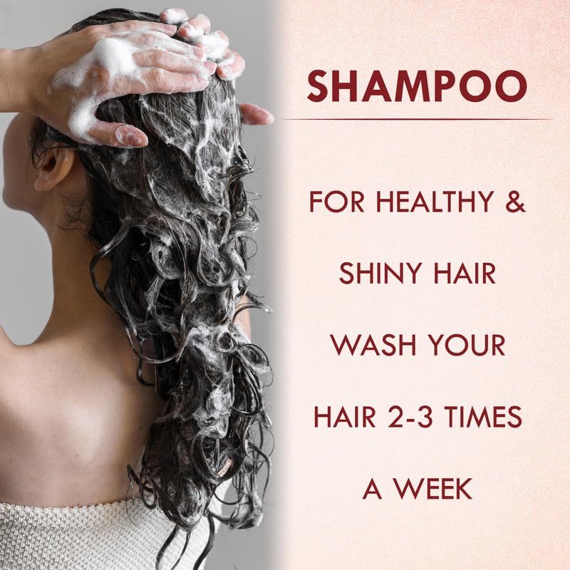 Sabtes Onion Shampoo for Hair Growth - Pack of 2 | Repairs Dry Scalp & Controls Hair Loss | Paraben-Free Formula for Smoother, Softer, Shinier Hair | Reduces Hair Fall Up to 100% | Ideal for Daily Hair Care & Scalp Treatment