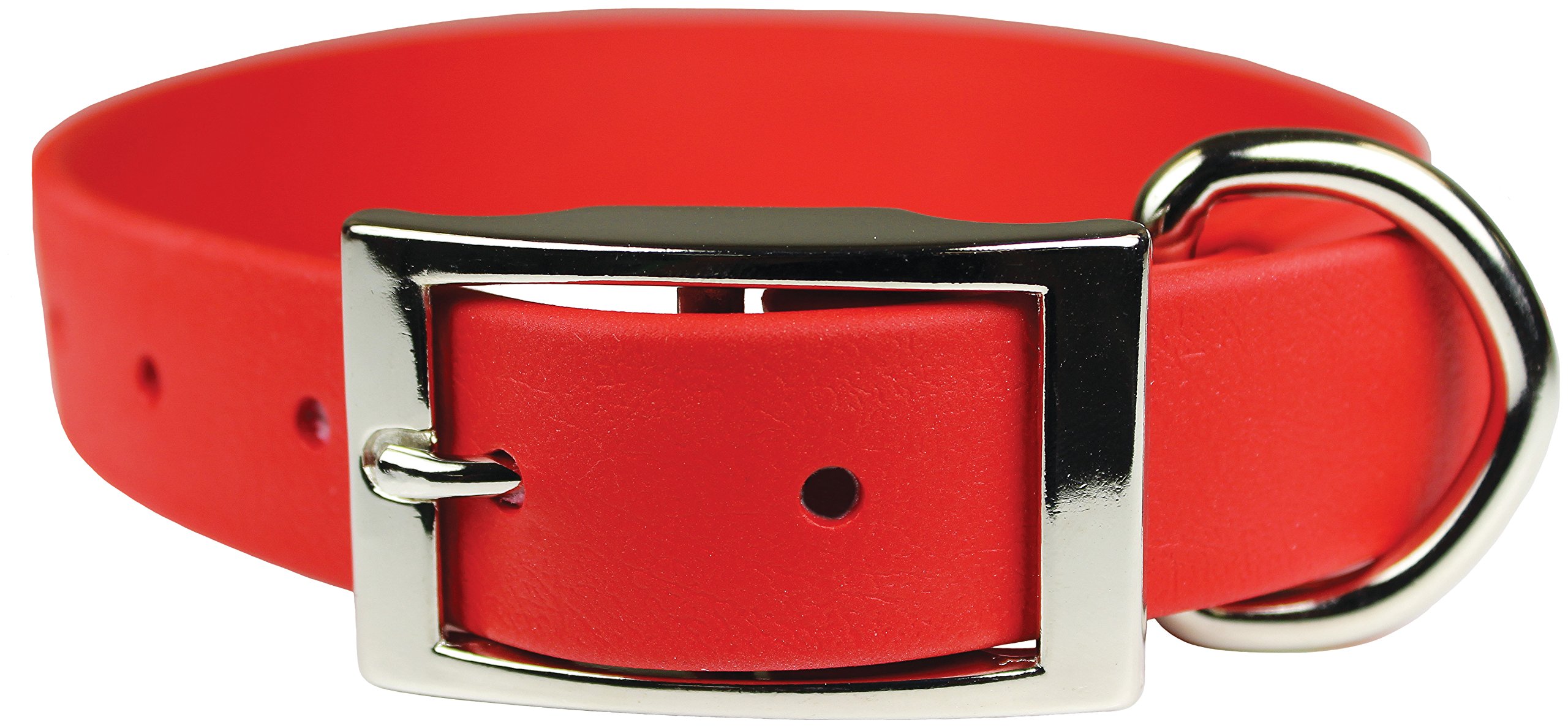 Premium Zeta Regular Dog Collar - 3/4 Inch Width, 16 Inch Length, Vibrant Red Color | Durable Nylon Pet Collar for Small to Medium Dogs | Perfect for Daily Walks, Training & Outdoor Adventures