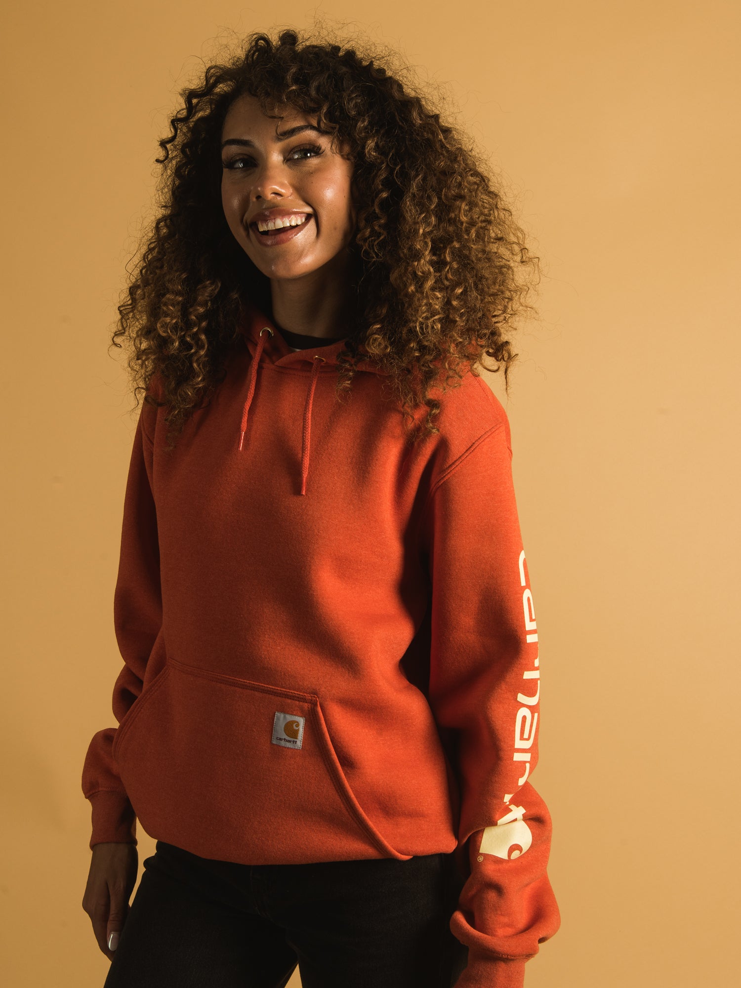Carhartt Men's Sleeve Pullover Hoodie - Heavyweight Fleece Sweatshirt for Work & Outdoor Activities | Clearance Sale