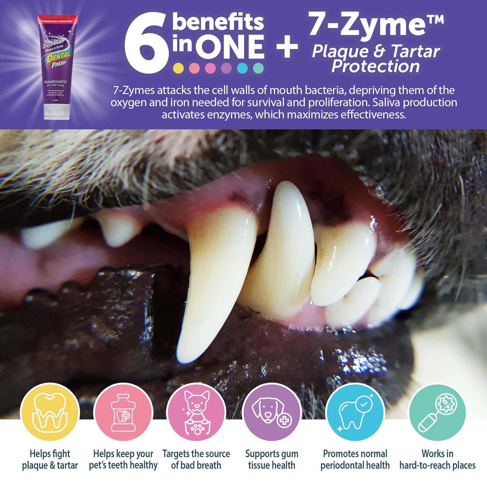 **Dental Fresh Enzymatic Gel Finger Toothbrush Kit for Dogs – Dog Toothpaste & Finger Toothbrush – Teeth Cleaning for Small & Large Breeds – Freshens Breath & Prevents Plaque – Perfect for Home & Vet Use**