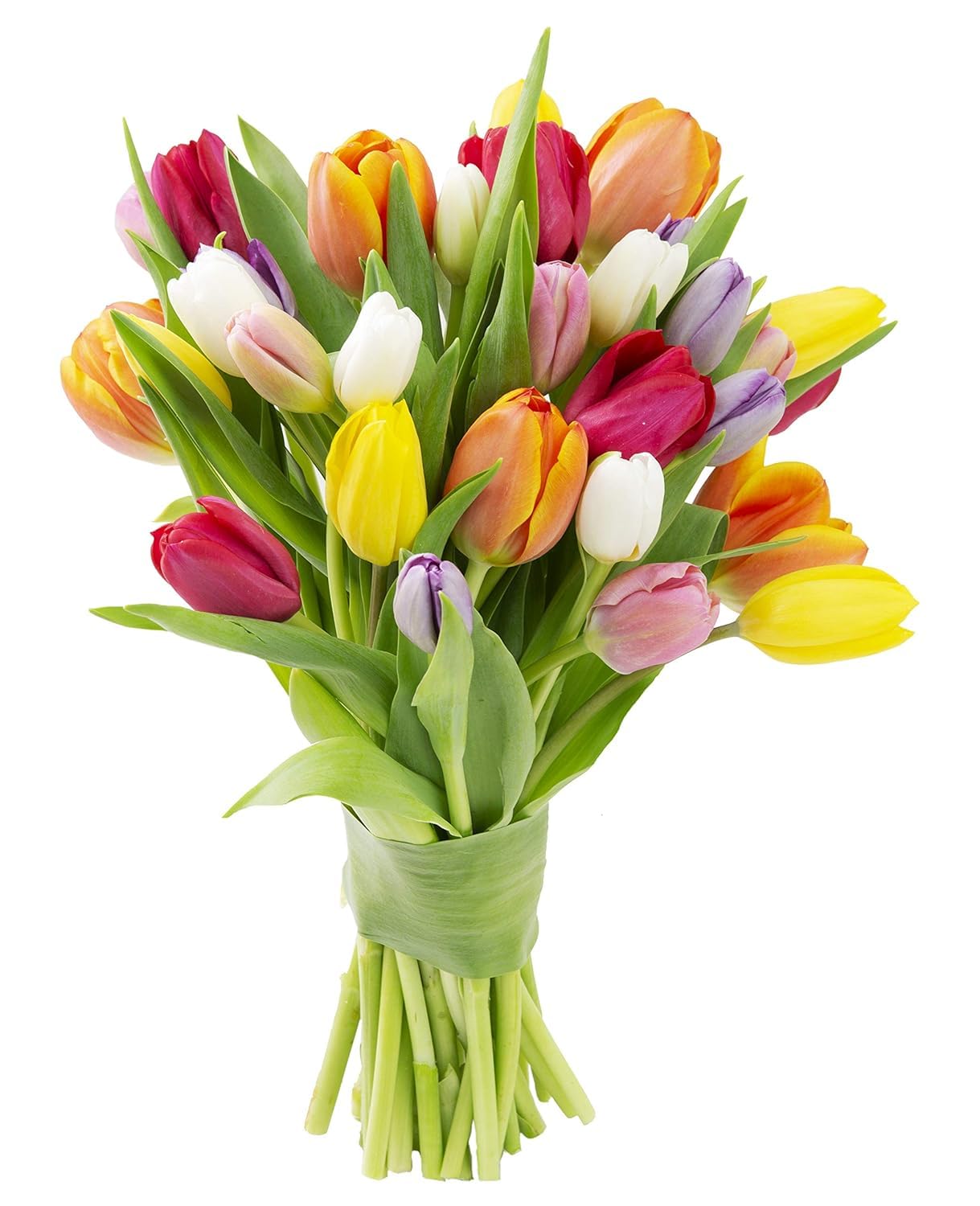 KaBloom Fresh Tulips - Easter Collection (30 Assorted Tulips, No Vase Included) - Perfect Gift for Birthdays, Anniversaries, Mother's Day, Valentine's Day, Sympathy & Get Well Wishes - Beautiful Spring Home Decor & Party Centerpiece
