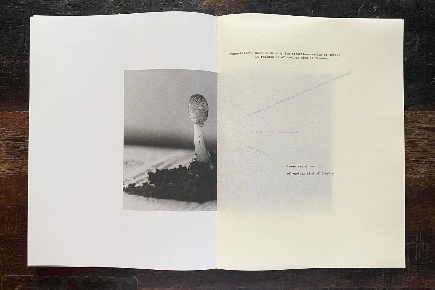 Object Amnesic: A Compost Manifesto by Henrik Strömberg & Jens Soneryd - Sustainable Living Guide for Eco-Conscious Home & Garden