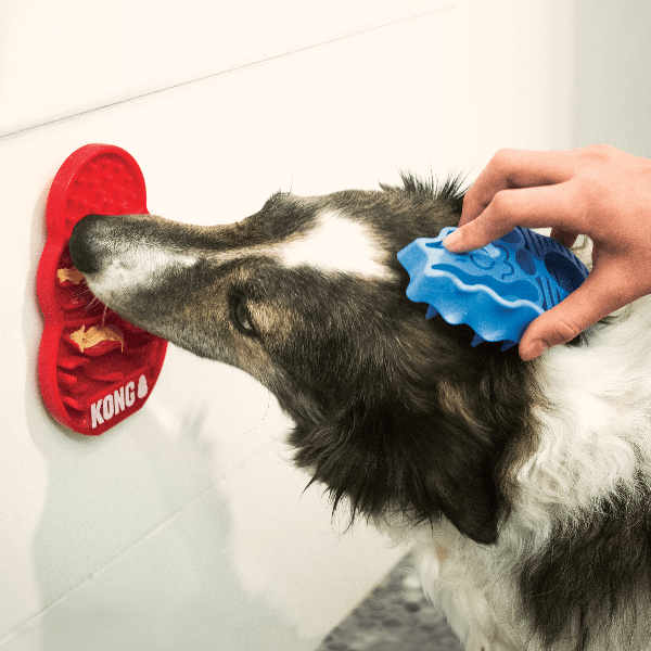 Kong Licks Dog Treat Dispenser - Slow Feeder & Chew Toy for Small & Large Dogs - Peanut Butter & Cheese Flavored - Perfect for Training, Boredom Relief & Mental Stimulation