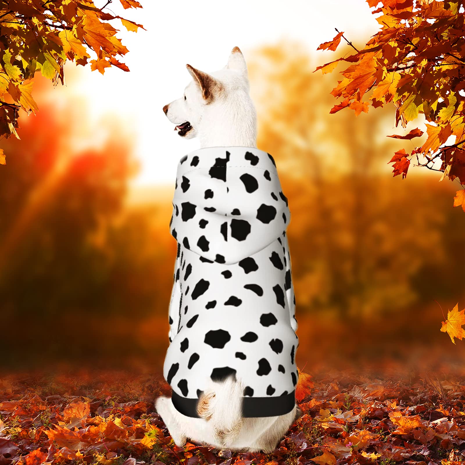 Dog Halloween Costumes & Winter Sweaters - Warm Pet Hoodies with Hat for Small & Medium Dogs | Cozy Autumn & Winter Outfits for Dogs