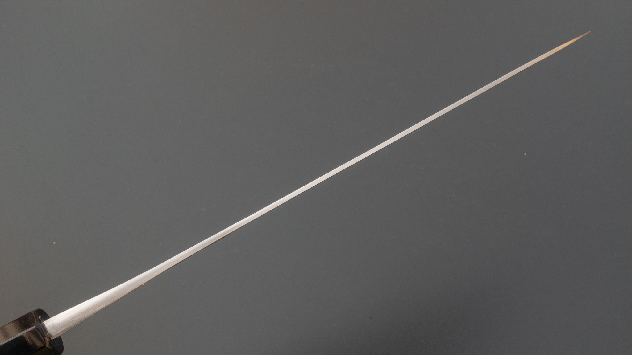 Premium Jiro Tsuchime Wa Gyuto 240mm Japanese Chef Knife with Taihei Tagayasan Handle (#104) - Perfect for Professional Chefs & Home Cooking Enthusiasts
