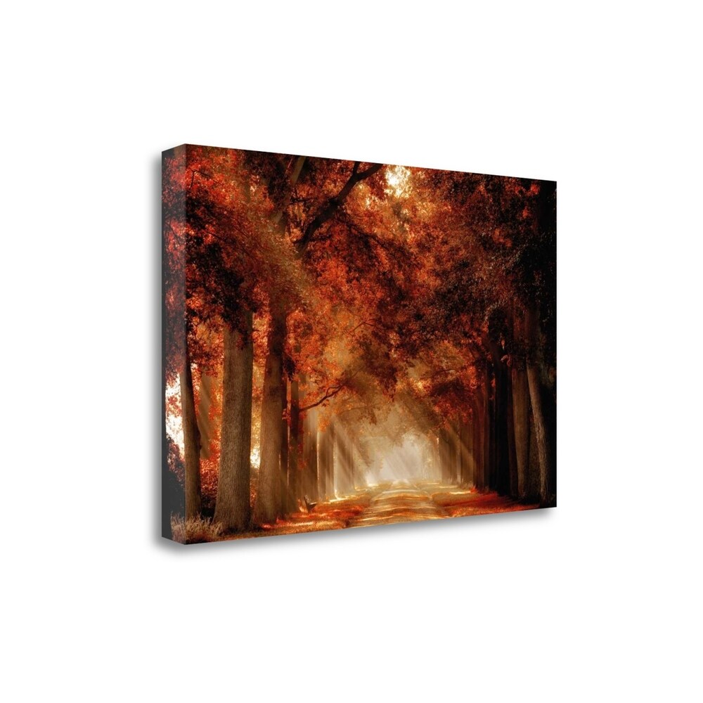 Lars Van De Goor 'A Seat Not Taken III' Giclee Print on Gallery Wrap Canvas - Perfect for Living Room, Bedroom & Office Wall Decor