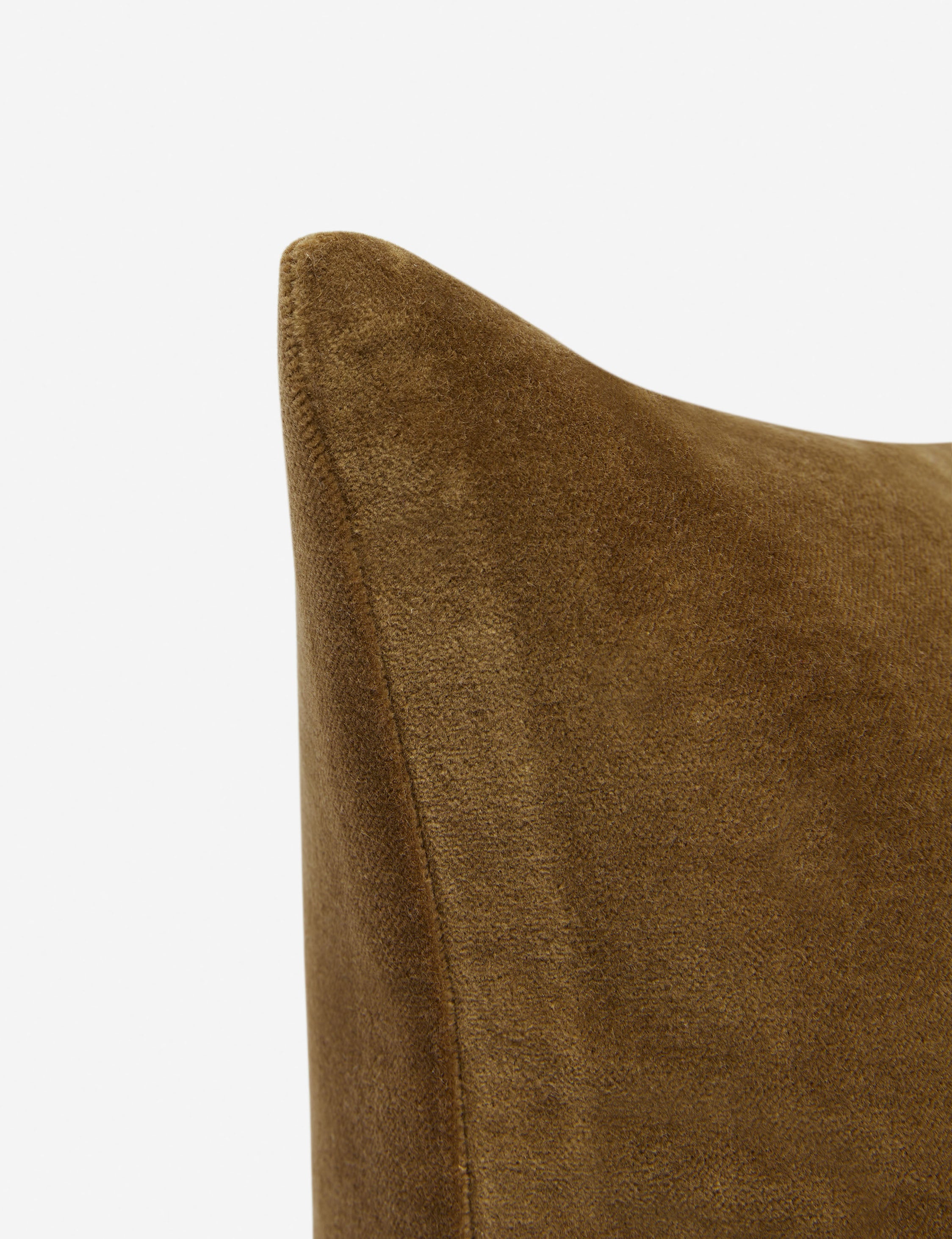 Charlotte Velvet Pillow - Soft Luxury Decorative Throw Pillow for Sofa, Bed & Couch - Perfect for Living Room, Bedroom & Home Decor