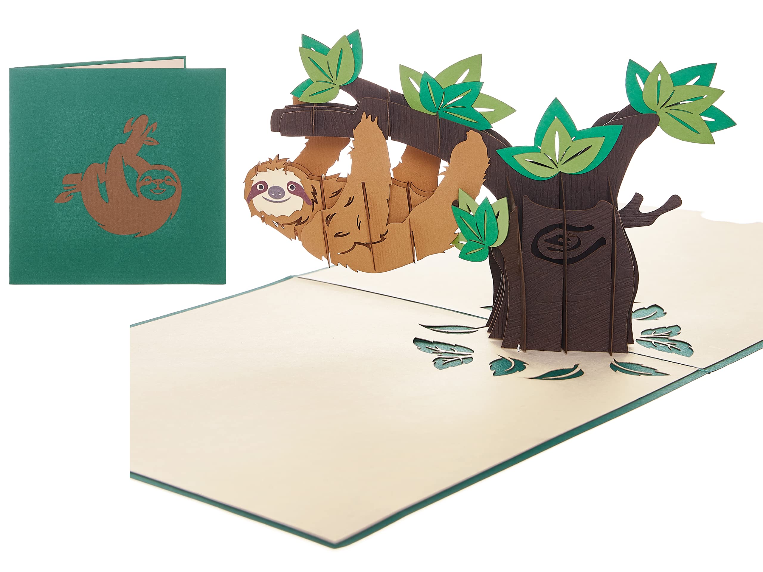 Sloth Pop Up Greeting Card - Cute Jungle Animal Birthday & Thank You Card for Kids - Perfect for Birthdays, Thank You Notes & Special Occasions