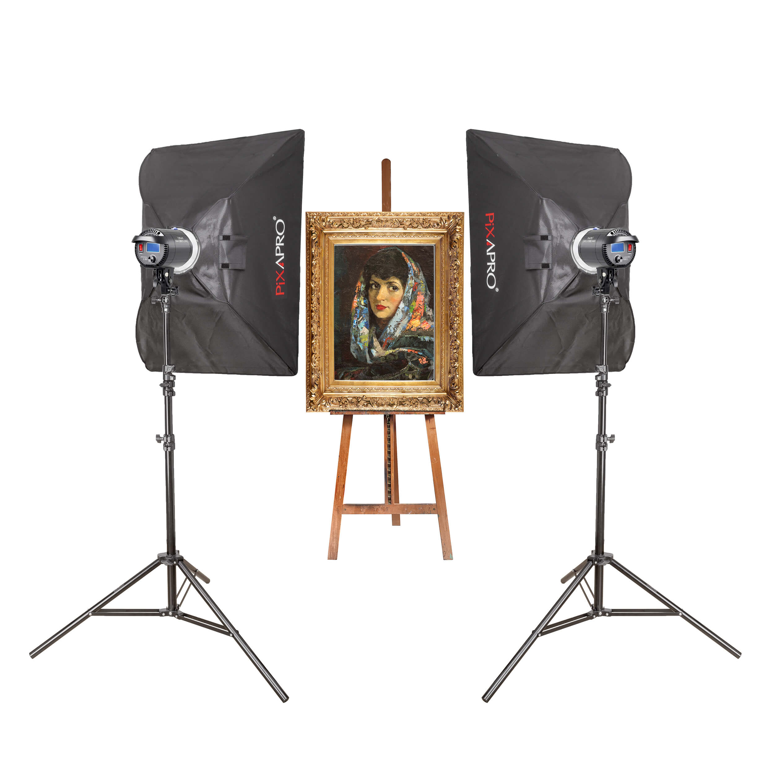DAYLiTE60D MKII Twin Kit - Professional Photography Lighting for Medium-Sized Paintings | Perfect for Art Studios, Gallery Documentation & High-Quality Art Reproduction