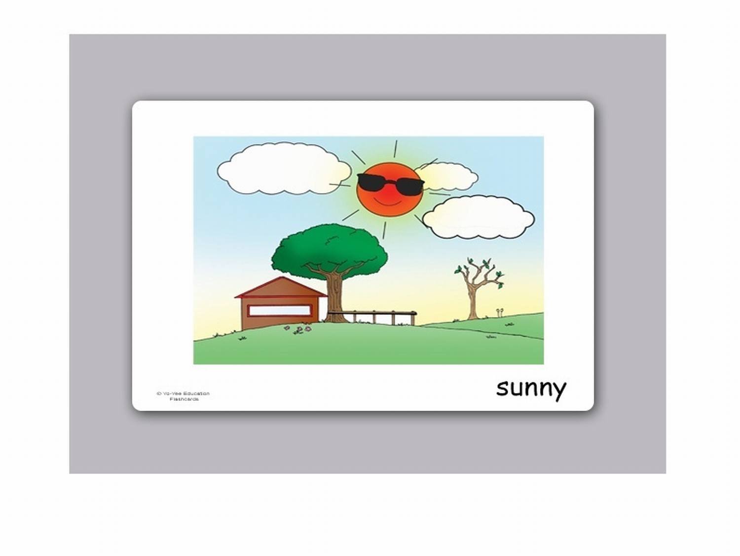 Weather & Seasons Flash Cards with Bingo Game - Educational Vocabulary Picture Cards for Toddlers, Kids & Adults - Perfect for Classroom Learning & Family Game Night