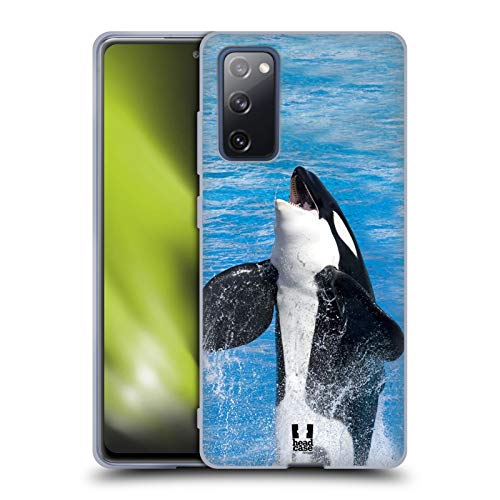 Jumping Killer Whale