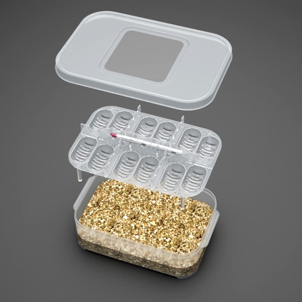 12 Grid Reptile Egg Incubator Tray - Perfect for Breeding Snakes & Lizards