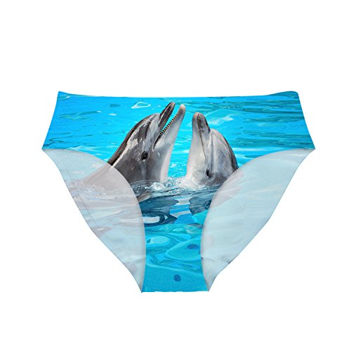 Dolphin 1