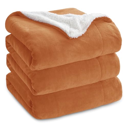 09 - Burnt Orange
