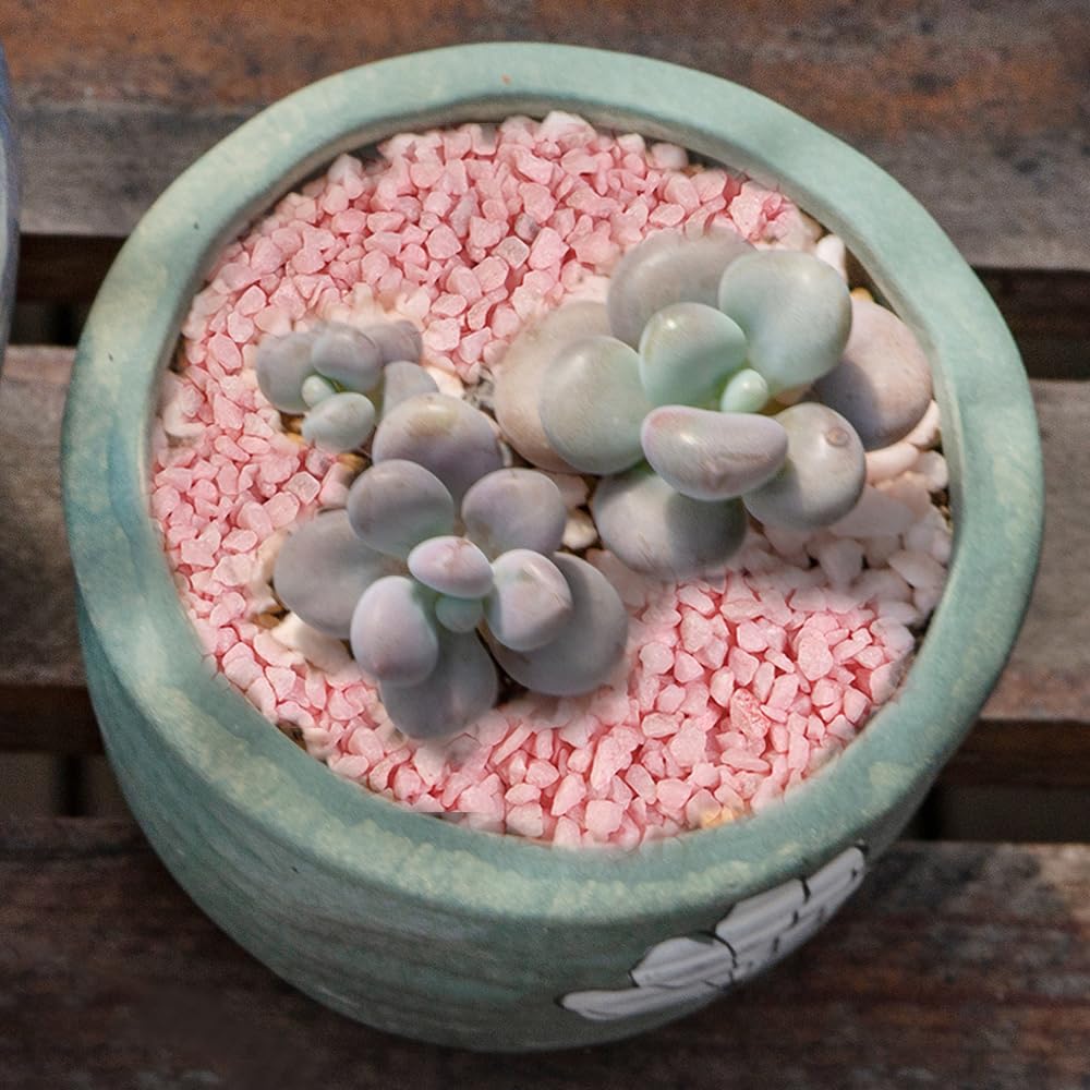 HappyFiller 1.1 LB Pink Fairy Garden Rocks - Mini Crushed Gravel for Small Terrarium, Succulent Planter Topper, Bonsai & Fairy Garden Decor - Perfect for Wedding Ceremony Unity Sand, DIY Home Decor & Indoor Plant Styling