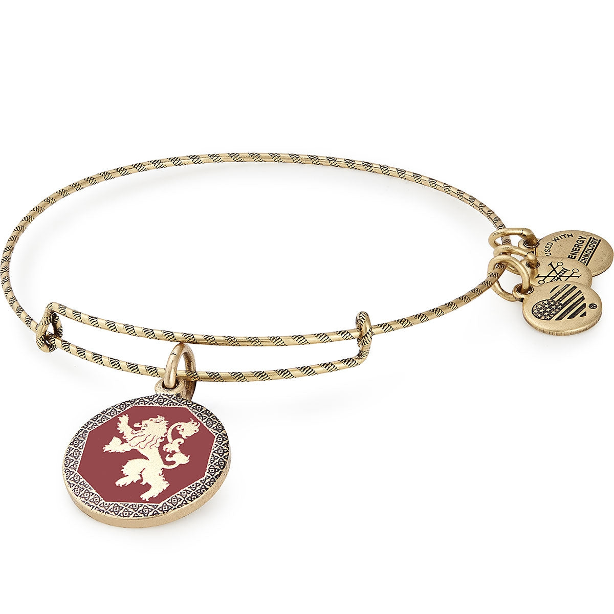 Game of Thrones™ Hear Me Roar Charm Bangle - Official Licensed Jewelry for Fans & Collectors - Perfect for Cosplay, Gifts & Medieval-Themed Events