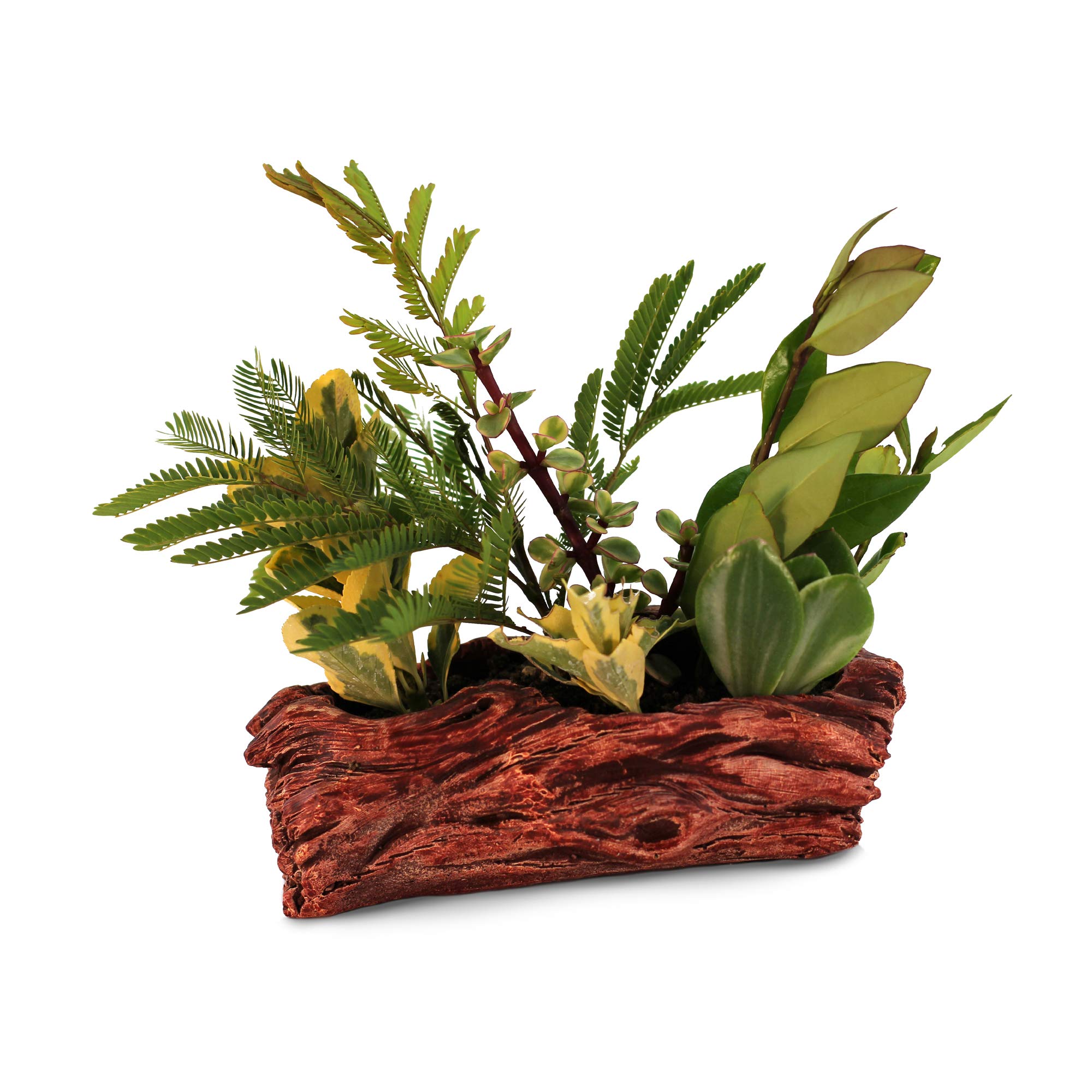 Ceramic Wood Plant Pot - Indoor Wood Planter for Succulents & Small Plants | Unique Log Planter with Natural Knot Design (Redwood) - Perfect for Home Decor, Office Desk & Gift Ideas