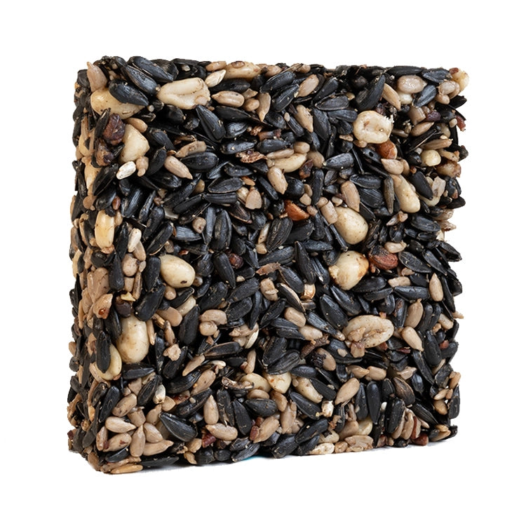 Four Seasons Seed Cake - Small Size | Delicious & Healthy Snack for Breakfast, Tea Time & Gifting