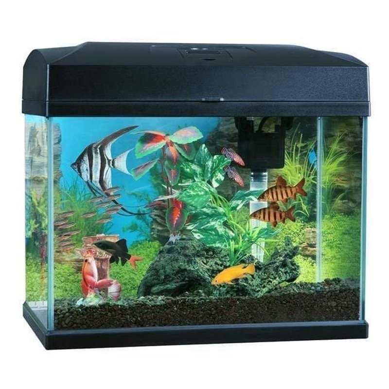Blue Planet Classic 20 LED Aquarium Tank (20 Liters) - Perfect for Home, Office & Fish Lovers | Energy Efficient Lighting for Freshwater & Small Marine Fish
