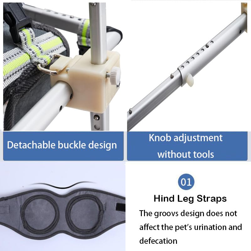 Adjustable Dog Wheelchair for Hind Legs - Lightweight Pet Mobility Cart for Disabled Dogs - 5 Sizes (XS-XL) - Ideal for Back Leg Rehabilitation & Daily Walking Support