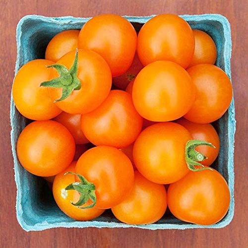Toronjina F1 Hybrid Cherry Tomato Seeds - 300 Count Packet for Home Garden, Hydroponics & Greenhouse Planting - Non-GMO, High Yield, Sweet Flavor