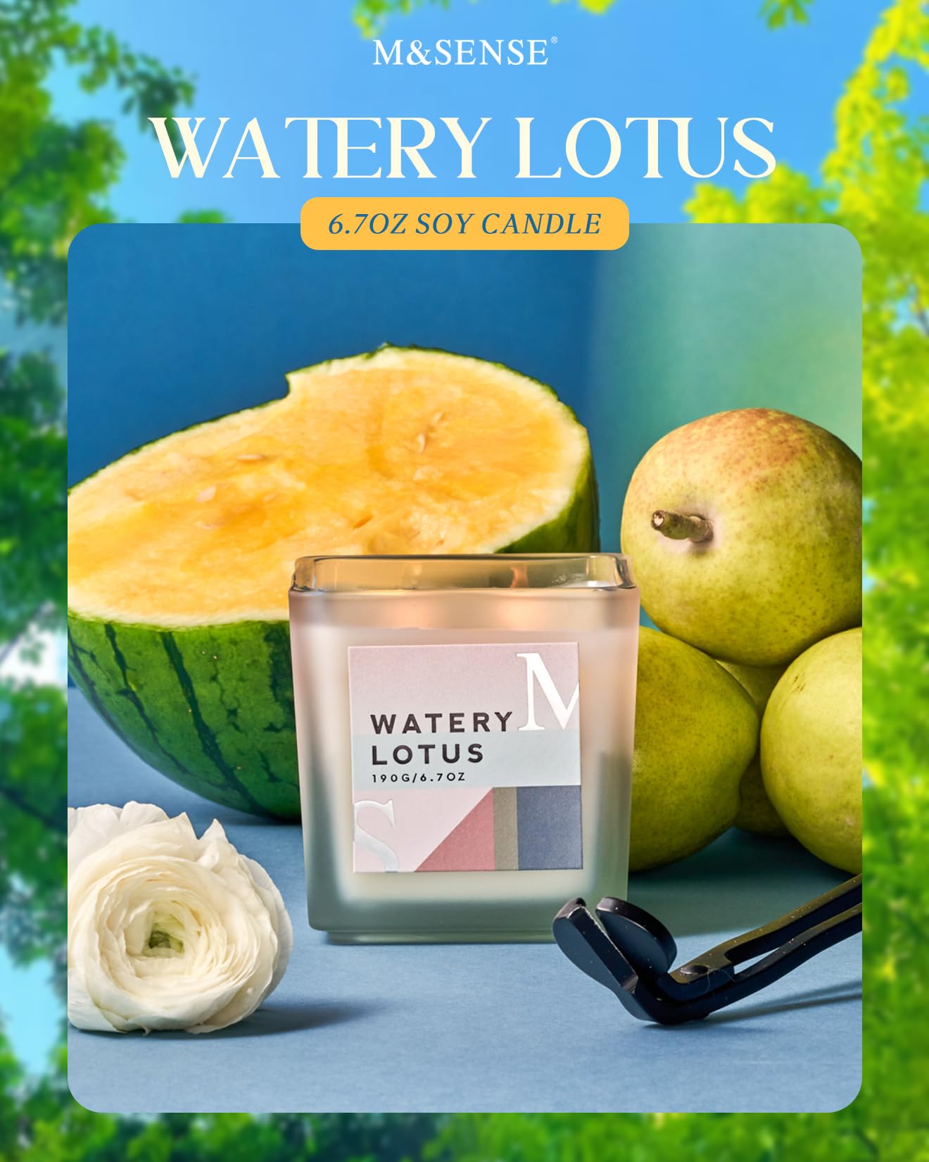 M&SENSE Water Lily Pear Scented Soy Candle Set with Refills - 14.3oz Aromatherapy Jar Candles, 80H Burn Time - Relaxing Fragrance for Stress Relief, Meditation, Spa, Yoga, Bath & Home Decor Gift
