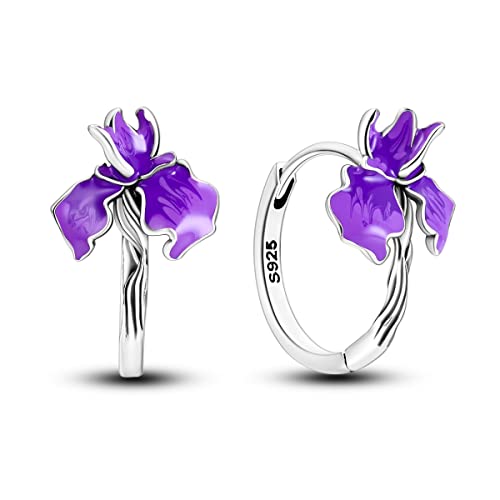 Purple Iris
