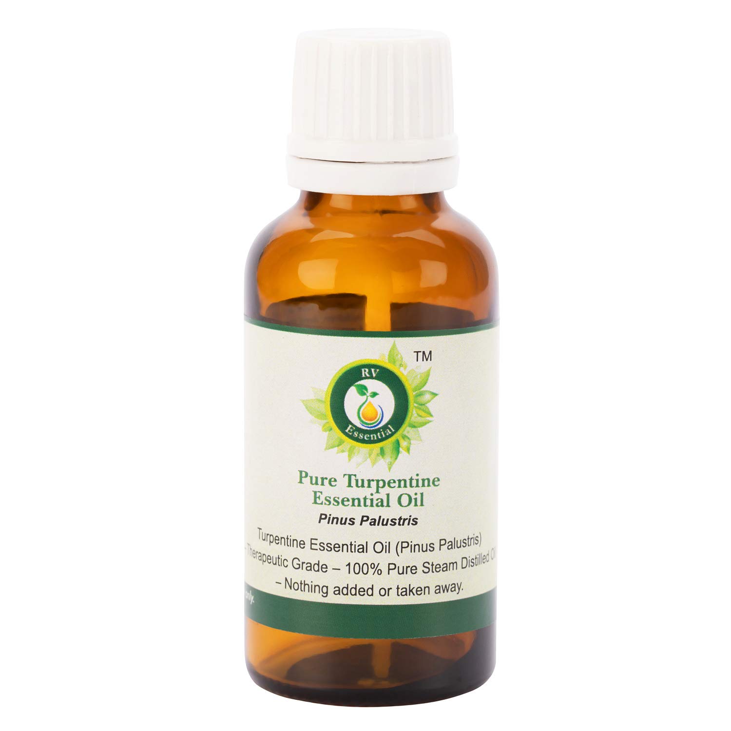 Pure Natural Turpentine Essential Oil (Pinus Palustris) - 100% Steam Distilled for Painting & Woodworking - 15ml (0.507oz) by R V Essential - Perfect for Oil Painting, Varnish Thinning & DIY Wood Finishes