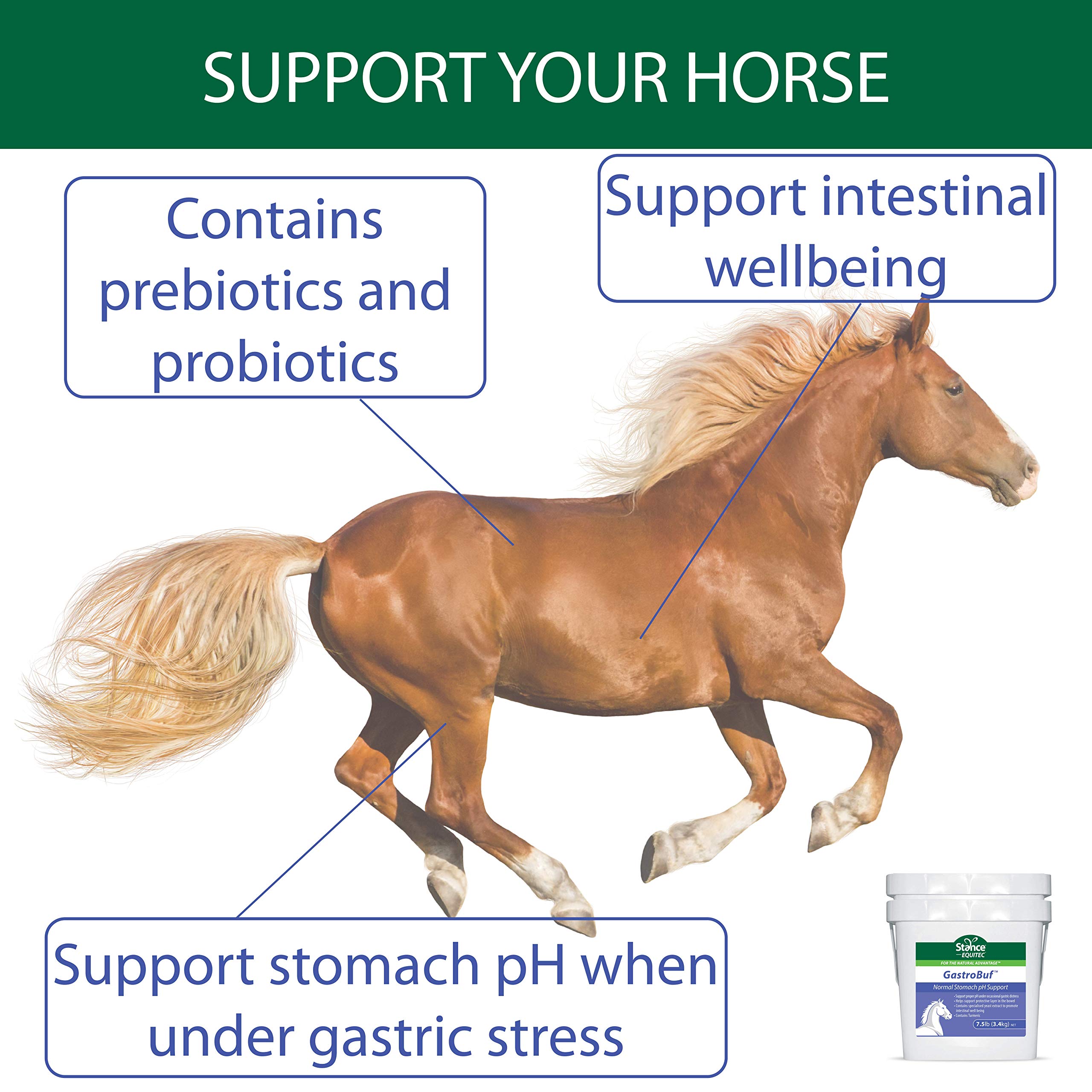 Stance Equitec GastroBuf Horse Supplement for Stomach pH Support - Promotes Bowel Protective Layer & Balances pH During Gastric Distress - Contains Turmeric - 3.3 lb - Ideal for Performance Horses & Digestive Care