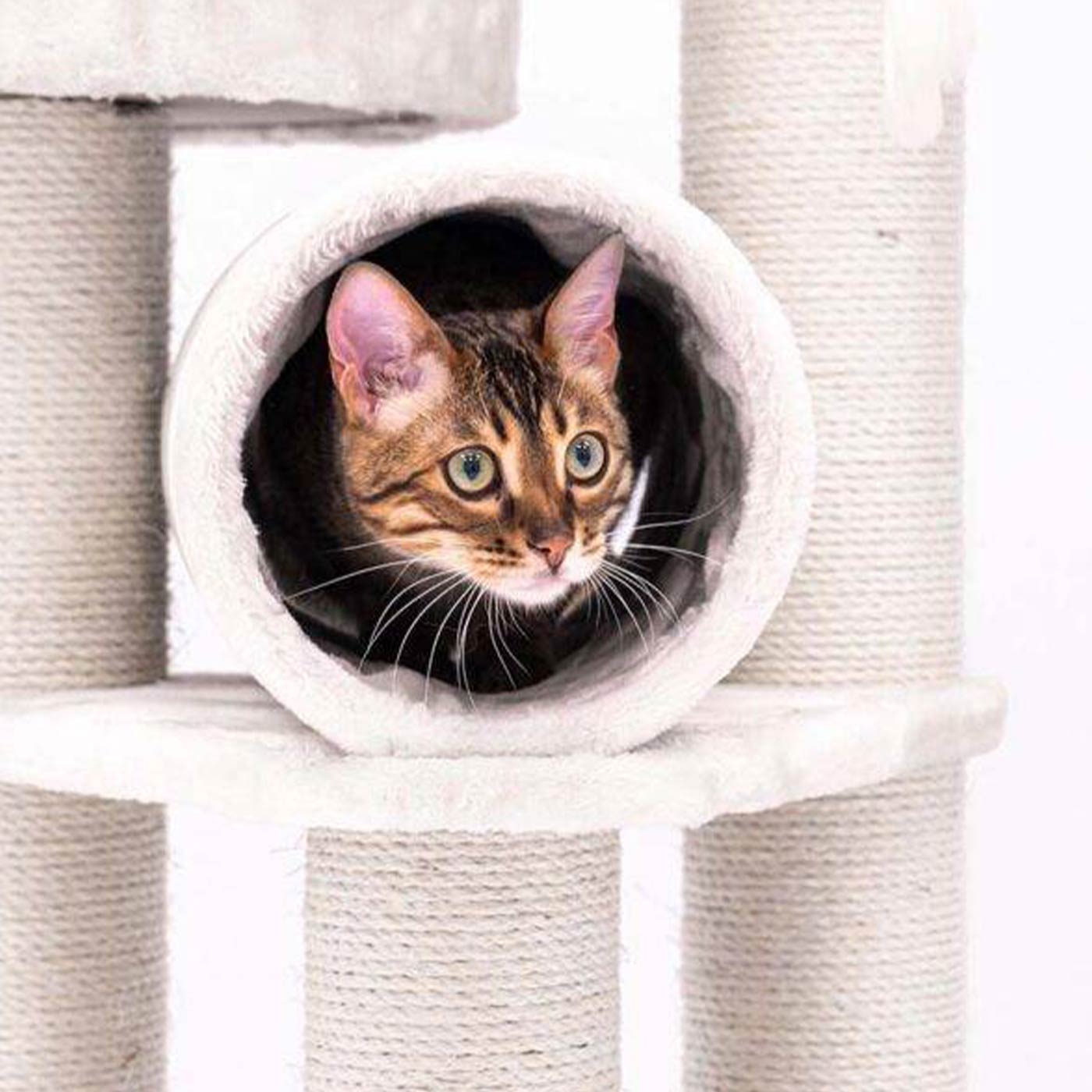 Kings & Queens Victoria 125cm Cat Tree - Premium Tall Cat Tower with Scratching Posts & Perches for Indoor Cats - Perfect for Play, Rest & Climbing in Home or Apartment