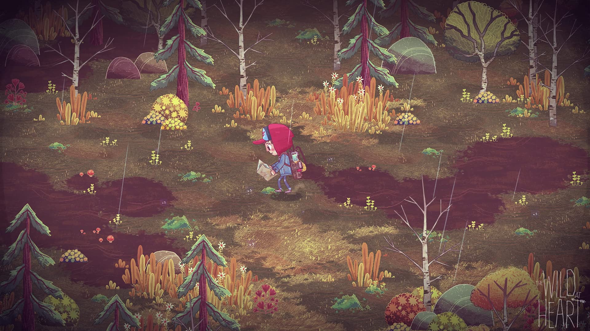 The Wild at Heart - Nintendo Switch Game | Adventure & Puzzle Solving for Kids & Adults | Perfect for Family Game Nights & Solo Play