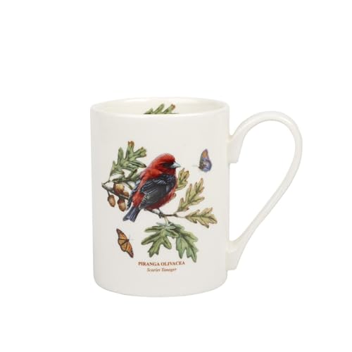 Scarlet Tanager