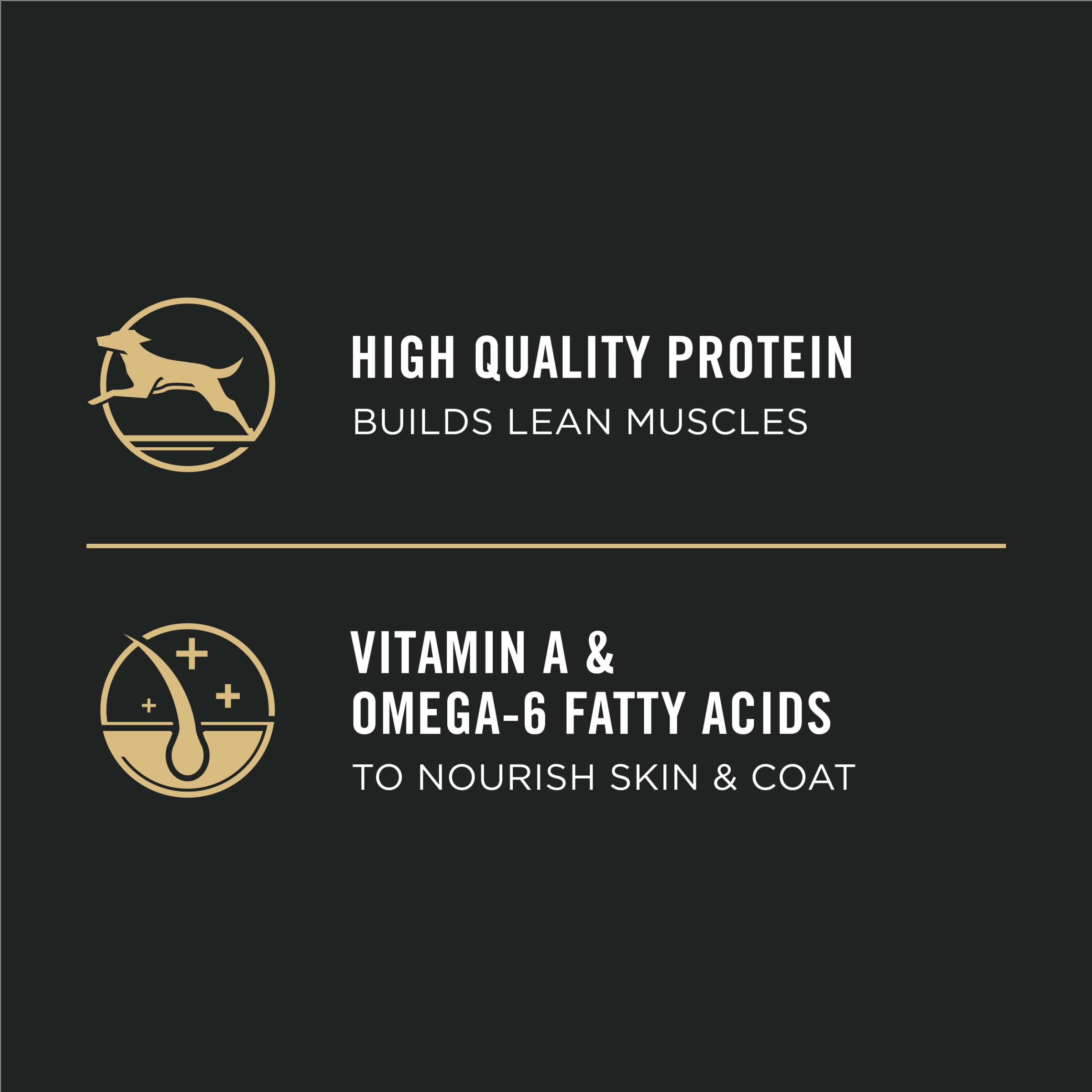 Purina Pro Plan High Protein Dry Puppy Food - Chicken & Rice Formula for Small & Large Breed Puppies - 6 lb Bag - Supports Healthy Growth & Immune System - Ideal for Training & Daily Feeding