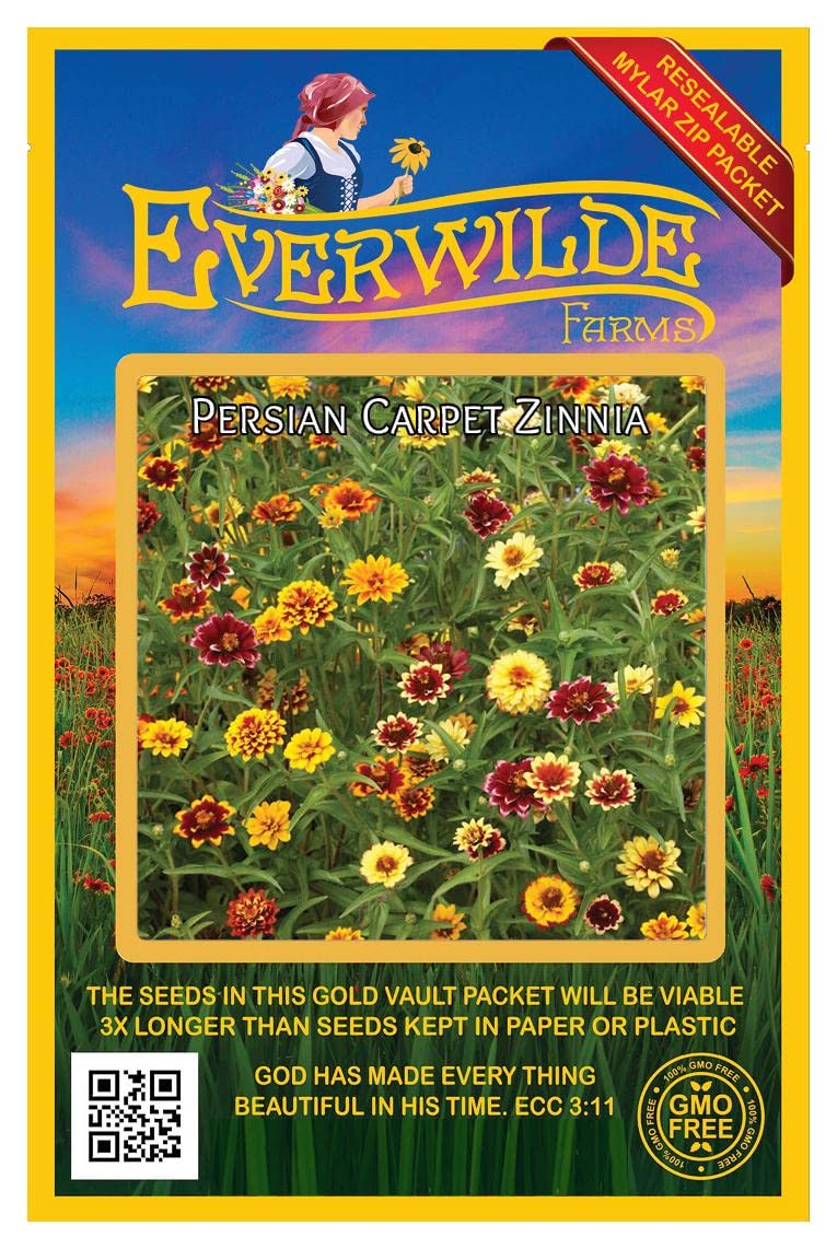 500 Persian Carpet Zinnia Wildflower Seeds - Premium Gold Vault Jumbo Seed Packet for Home Gardening, Landscaping & Pollinator Gardens - Everwilde Farms Non-GMO Flower Seeds