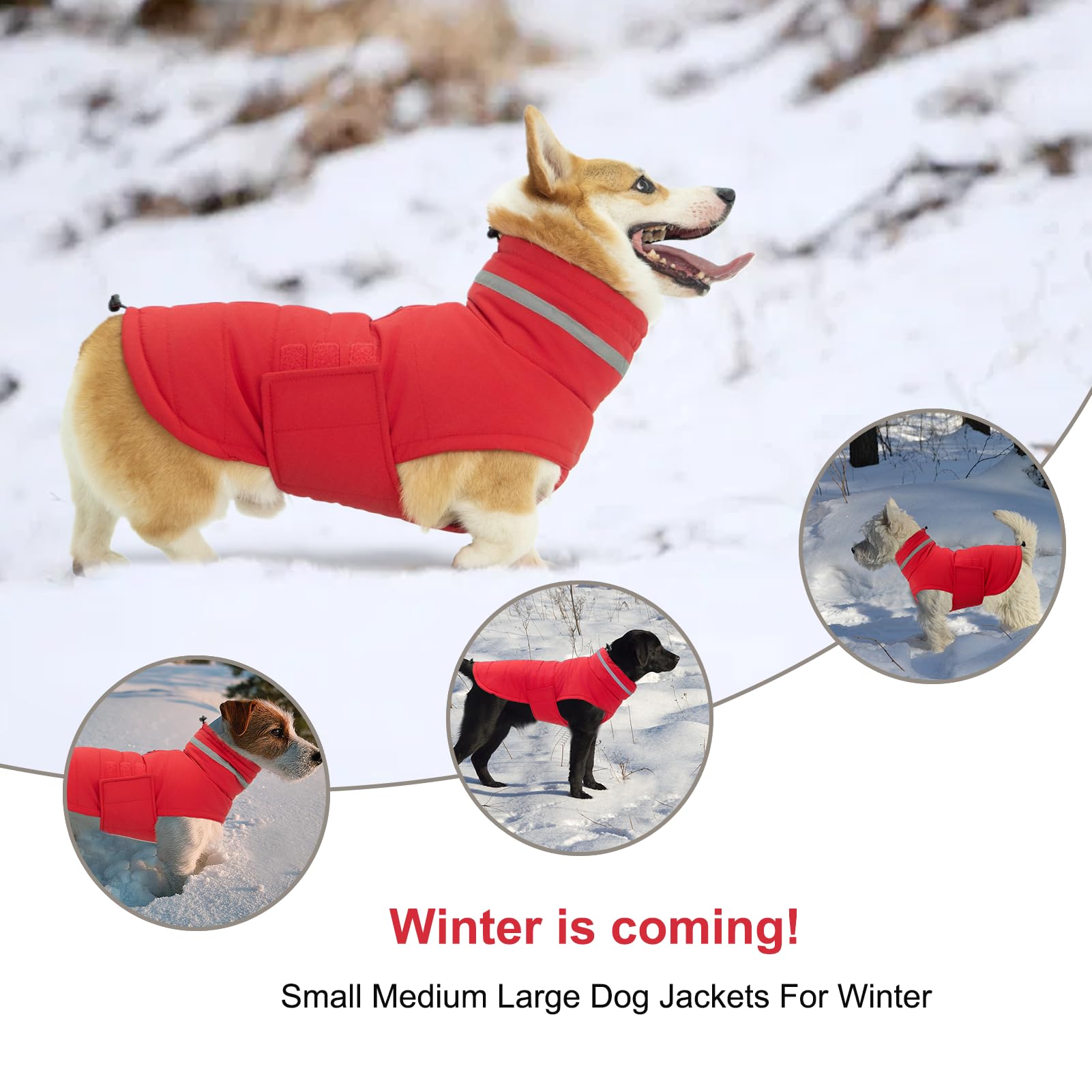 Waterproof & Windproof Dog Winter Coat - Reflective Adjustable Turtleneck Jacket for Small Medium Large Dogs - Warm Cold Weather Snow Jacket for Outdoor Walking, Hiking & Winter Adventures