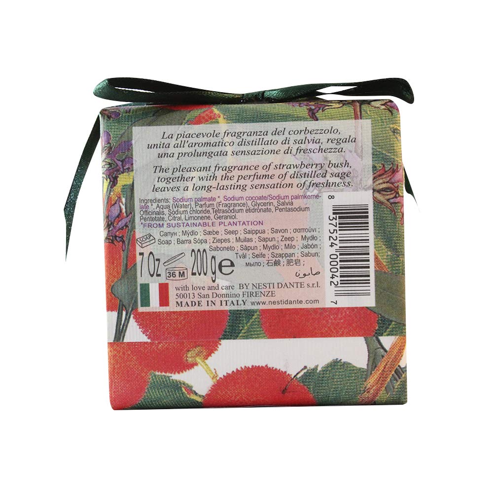 NESTI DANTE Gli Officinali Camellia & Cinnamon Soap 200g - Natural Handmade Italian Soap for Moisturizing Skin & Aromatherapy | Perfect for Spa, Bath & Gift Sets