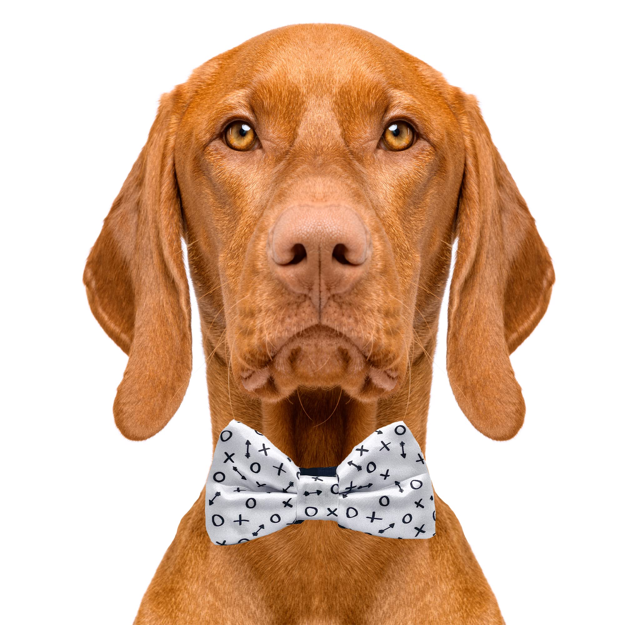 Stylish Dog Bow Tie Collar Accessory - Adjustable Pet Fashion for Small & Large Dogs - Perfect for Weddings, Parties & Photos