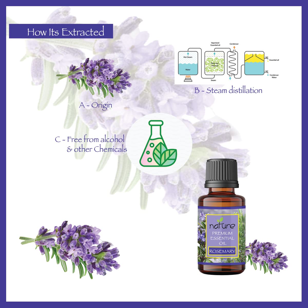 Organic Lavender & Rosemary Essential Oil Set - 100% Pure Natural Aromatherapy Oils for Diffusers, Massage & Relaxation (10ml Each) - Perfect for Stress Relief, Sleep Aid & Home Spa