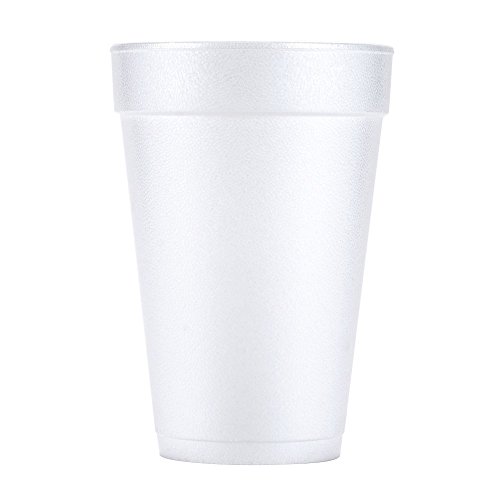 16oz Foam Cups - 1000 Pack, Disposable Coffee Cups for Hot & Cold Drinks, Perfect for Parties, Picnics, and Office Use