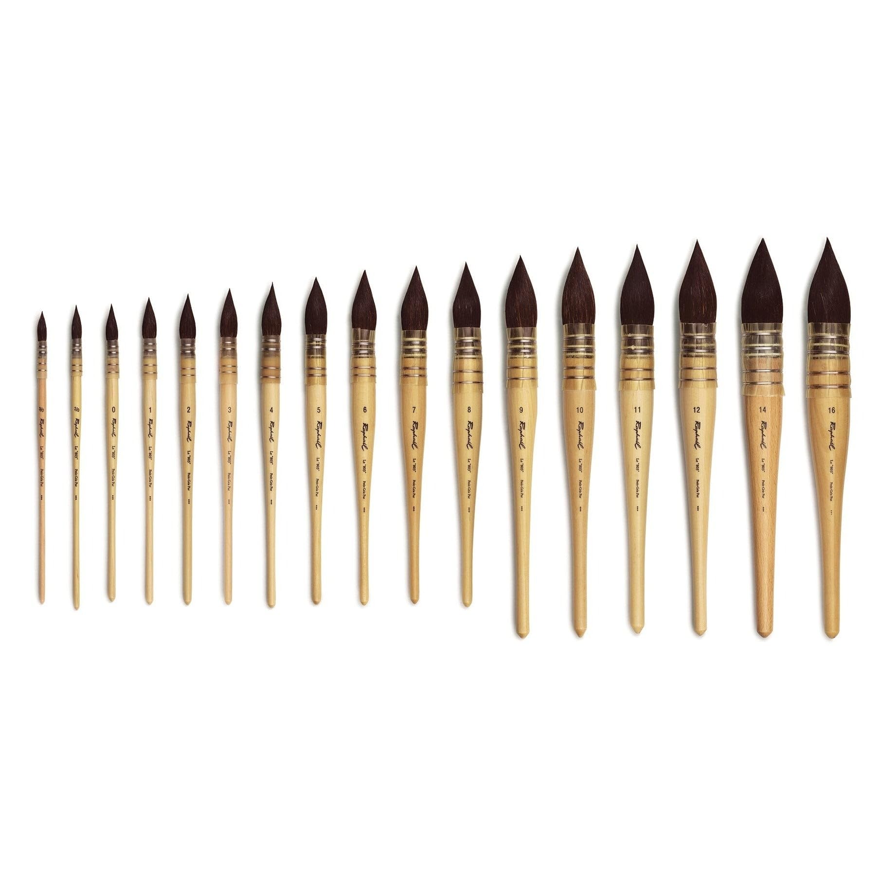 Raphael Kazan 803 Quill Mop Brush - Size 8 Natural Hair Artist Paintbrush for Watercolor, Acrylic & Oil Painting - Perfect for Blending, Glazing & Fine Detailing