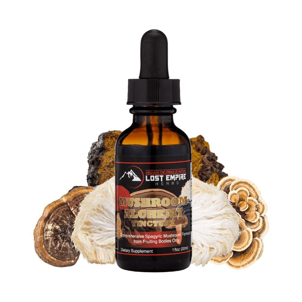 Premium 7 Medicinal Mushroom Tincture Blend - Reishi, Turkey Tail, Maitake, Shiitake, Lion's Mane, Artist Conk & Chaga (1 fl oz) | Organic Immune Support & Cognitive Boost | Perfect for Daily Wellness, Stress Relief & Natural Energy