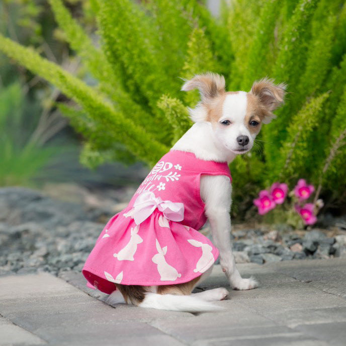 Adorable Dog Dresses for Small & Medium Breeds - Cute Pet Outfits for Parties, Photos & Daily Wear