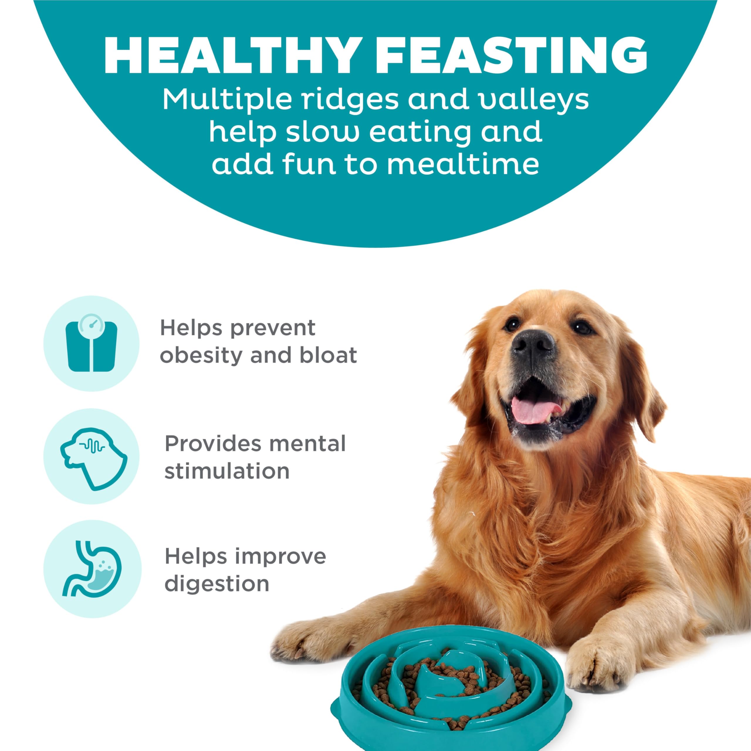 Outward Hound Fun Feeder Slo Bowl - Slow Feeder Dog Bowl for Large & Regular Dogs, Turquoise - Prevent Fast Eating & Bloat for Pets During Mealtime